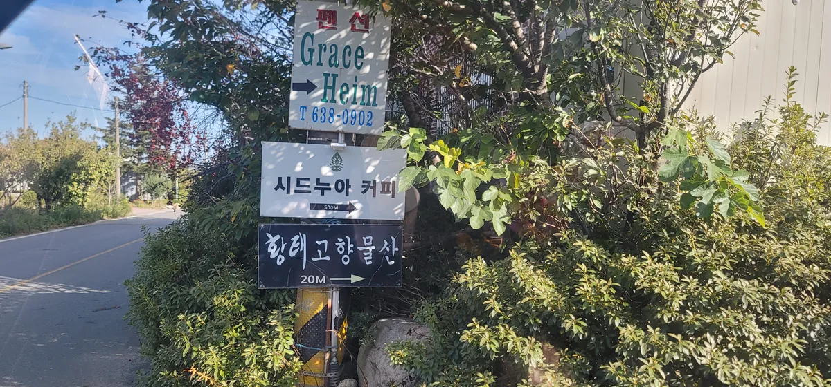 이미지 7