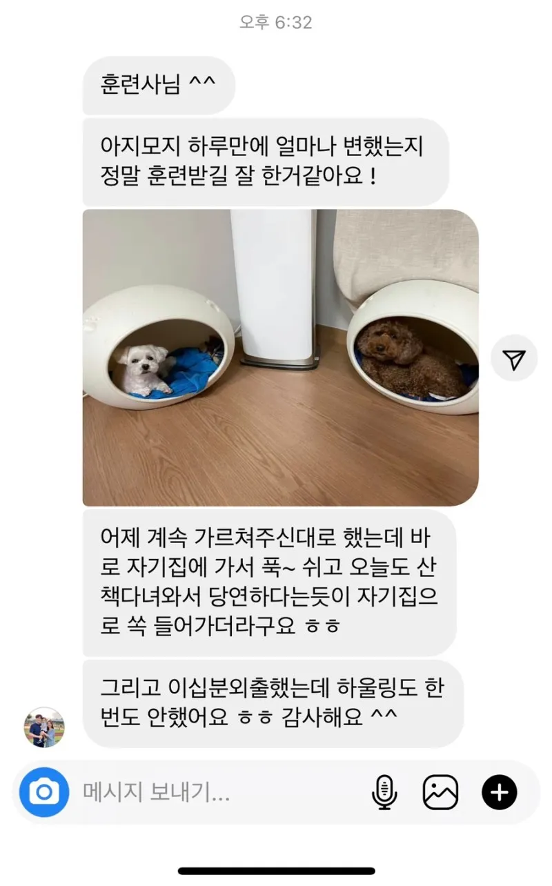 이미지 4