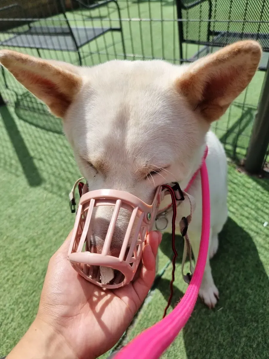 이미지 3