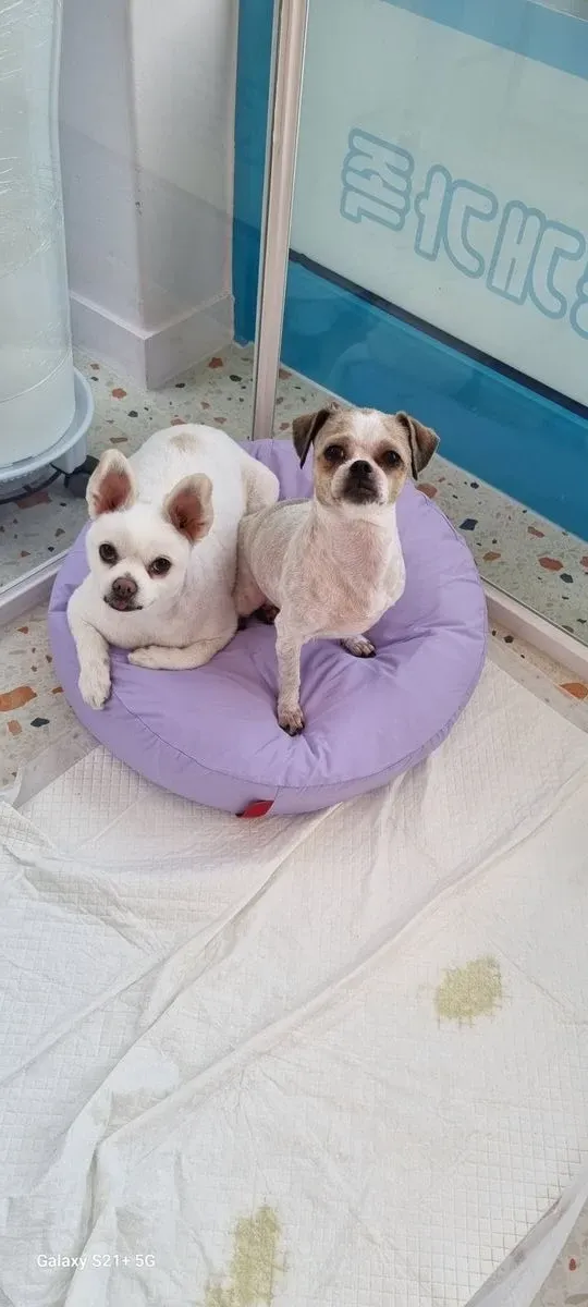 이미지 9