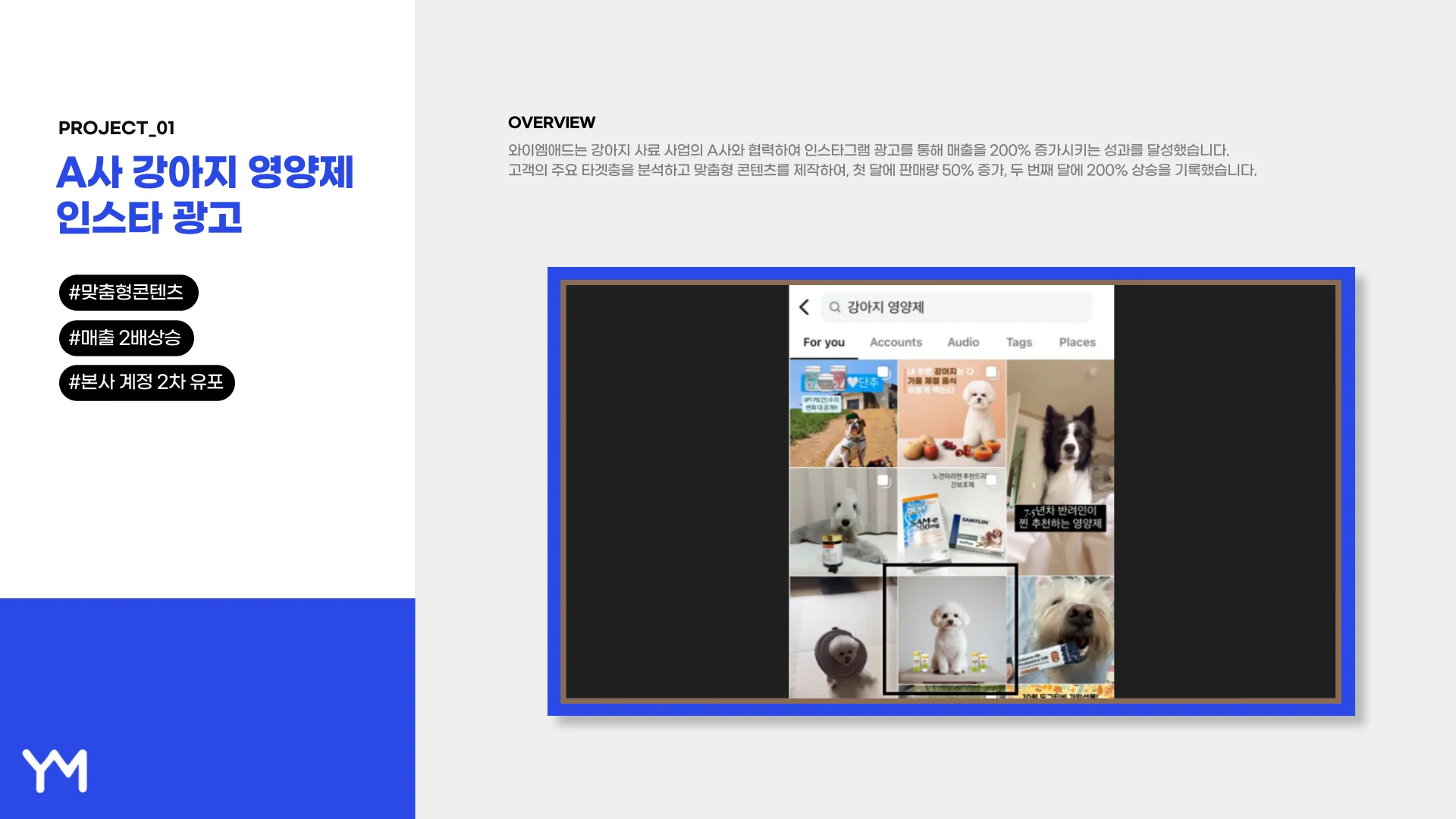이미지 10