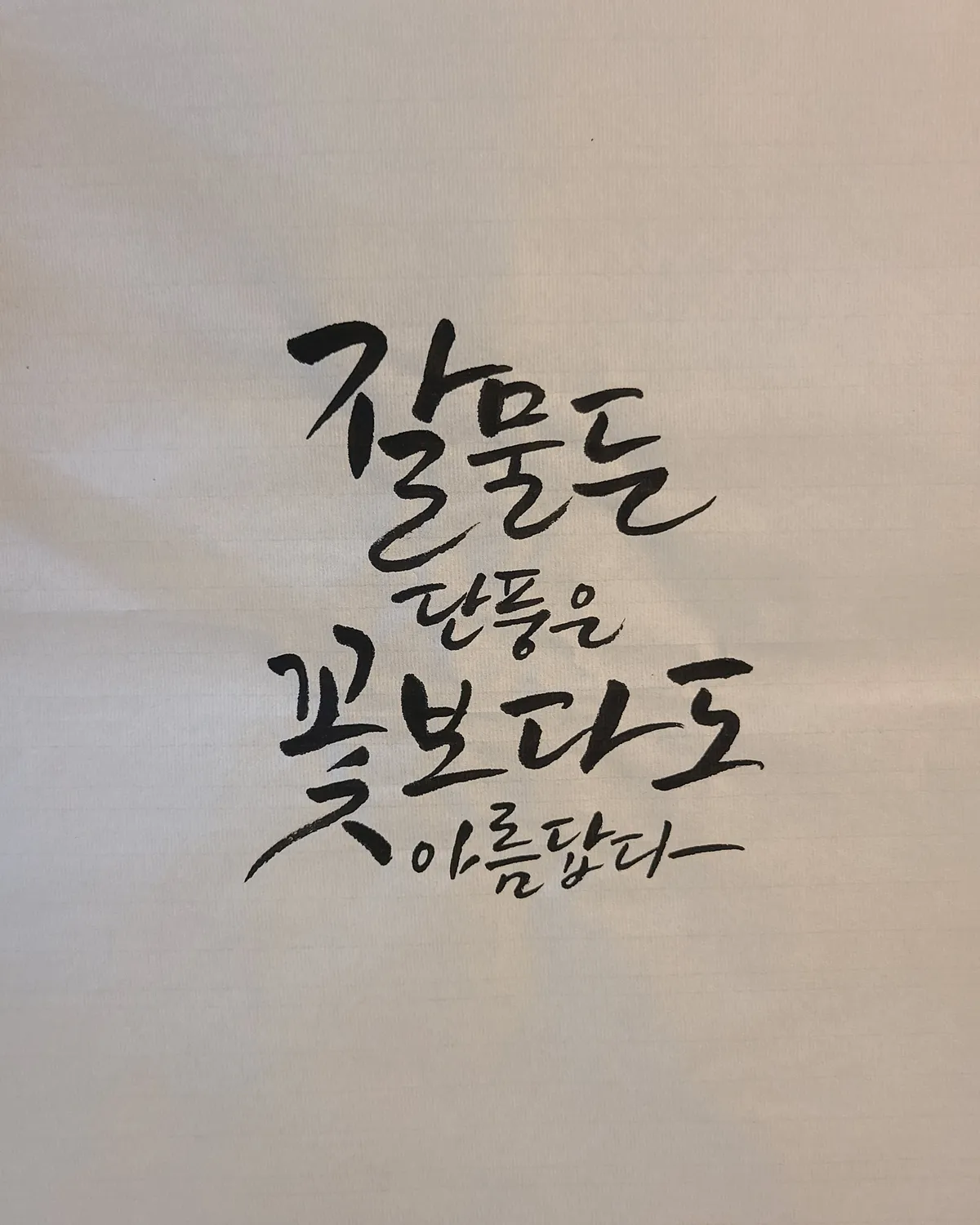 이미지 12