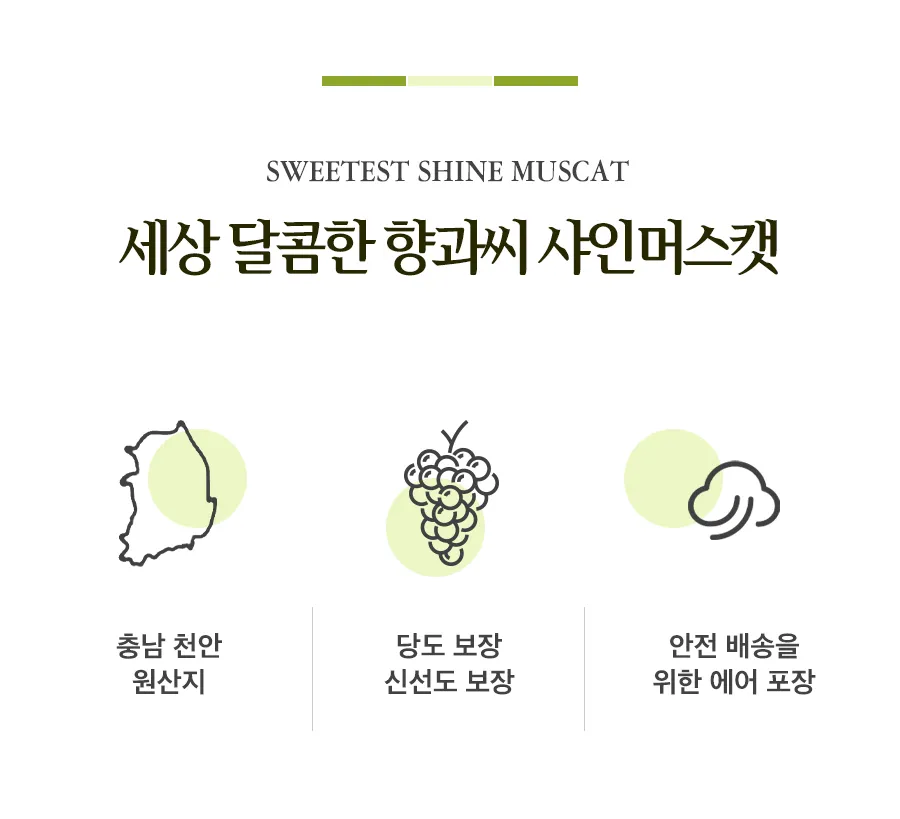 샤인머스캣 상세페이지 디자인 / 텍스츄라 - 숨고, 숨은고수 샤인머스캣 상세페이지 디자인