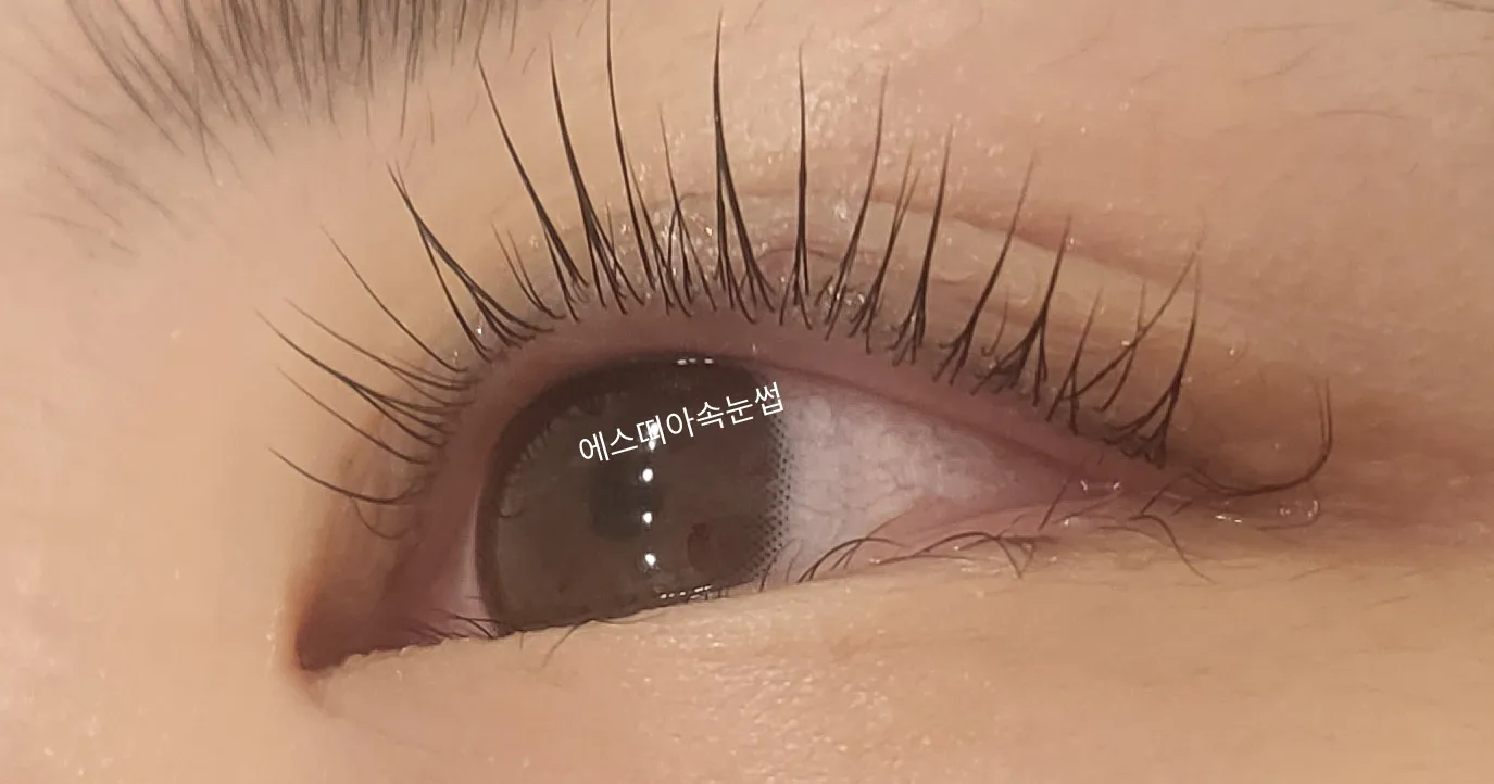 이미지 5