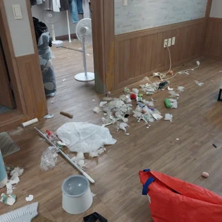 쓰리룸 반려견털제거 및 거주청소 성당동 대성빌