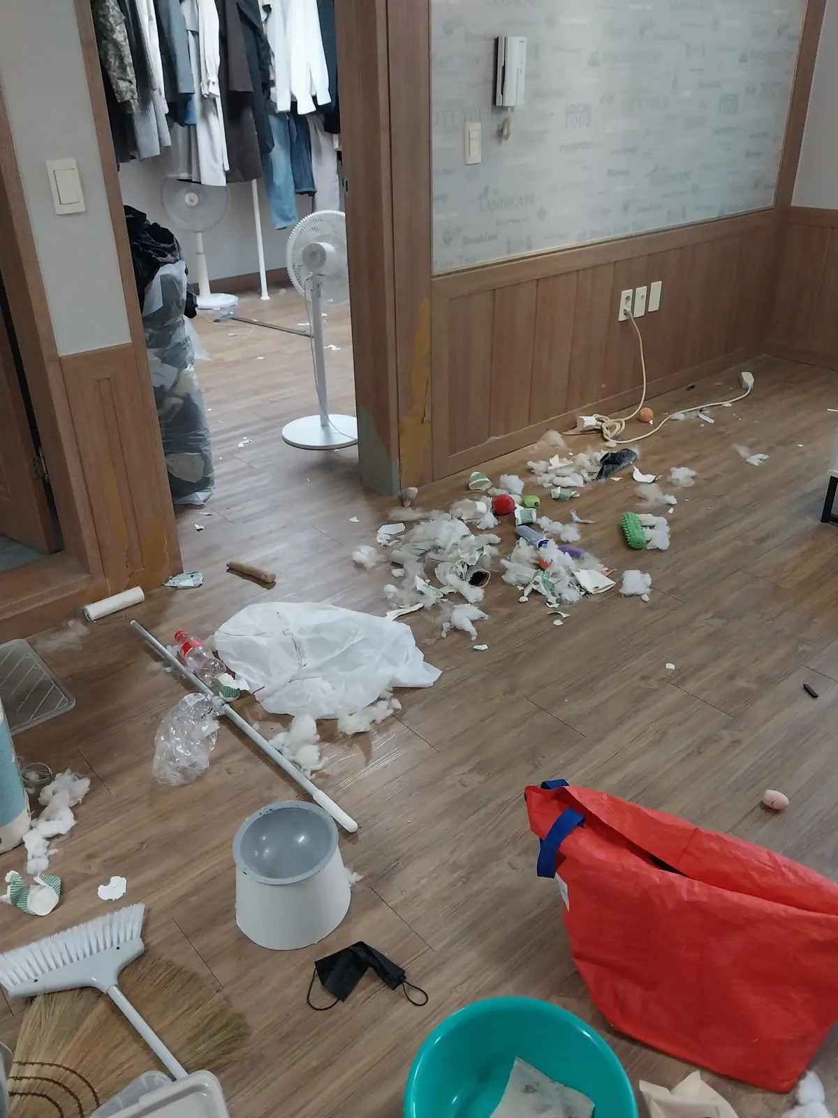 이미지 3