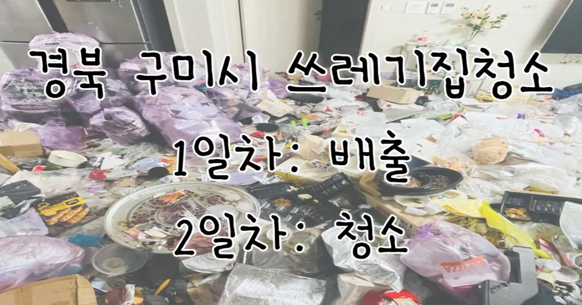 경상북도 구미시 쓰레기집청소 / 청소해보라 - 숨고, 숨은고수 경상북도 구미시 쓰레기집청소