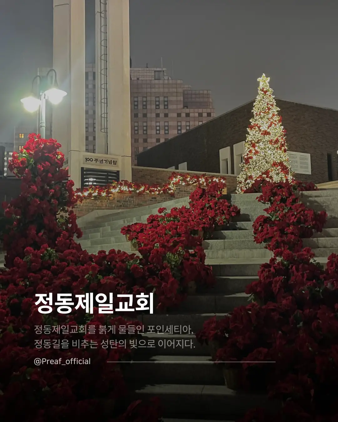 이미지 12