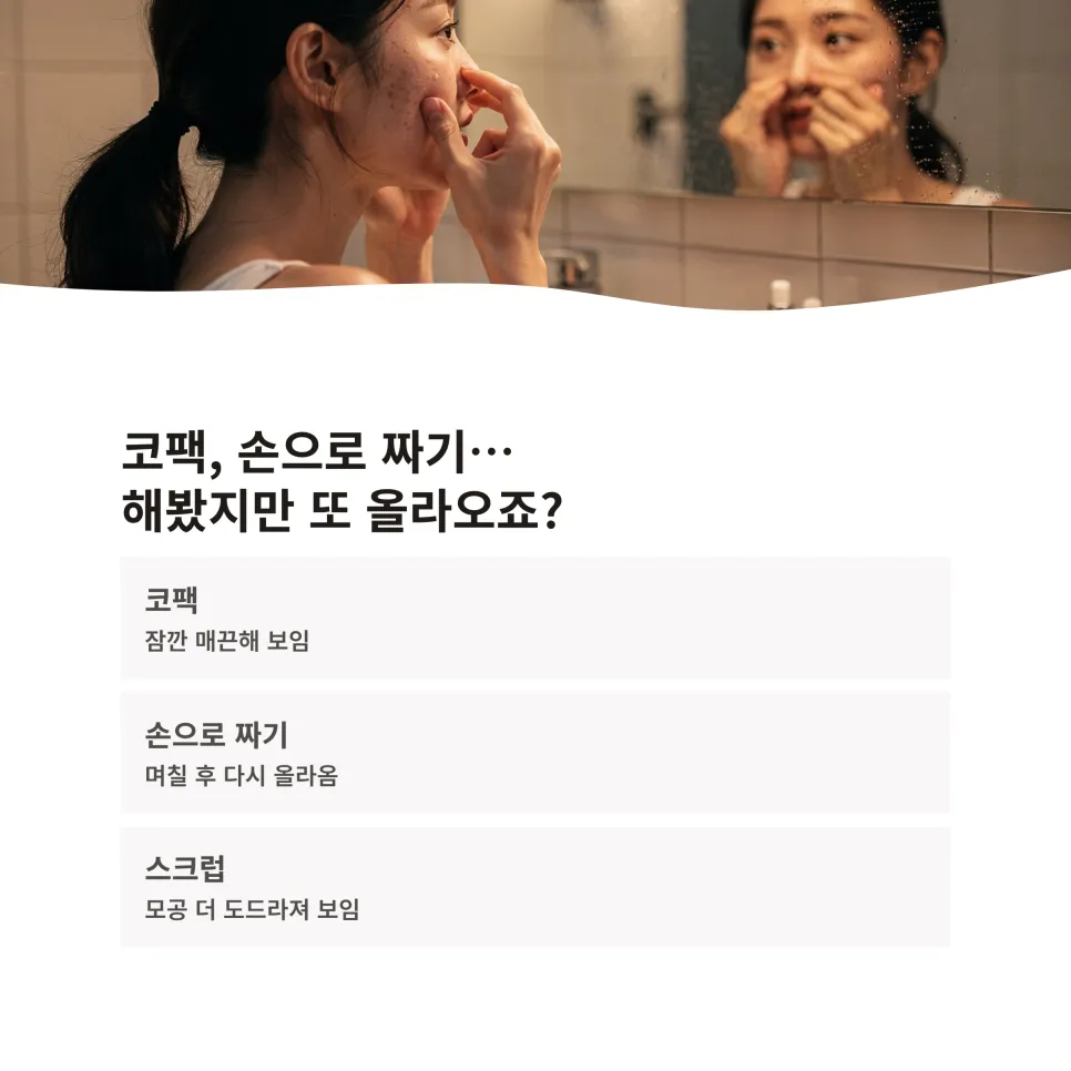 이미지 8