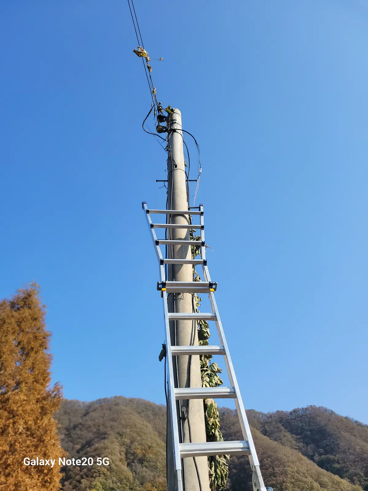 이미지 6