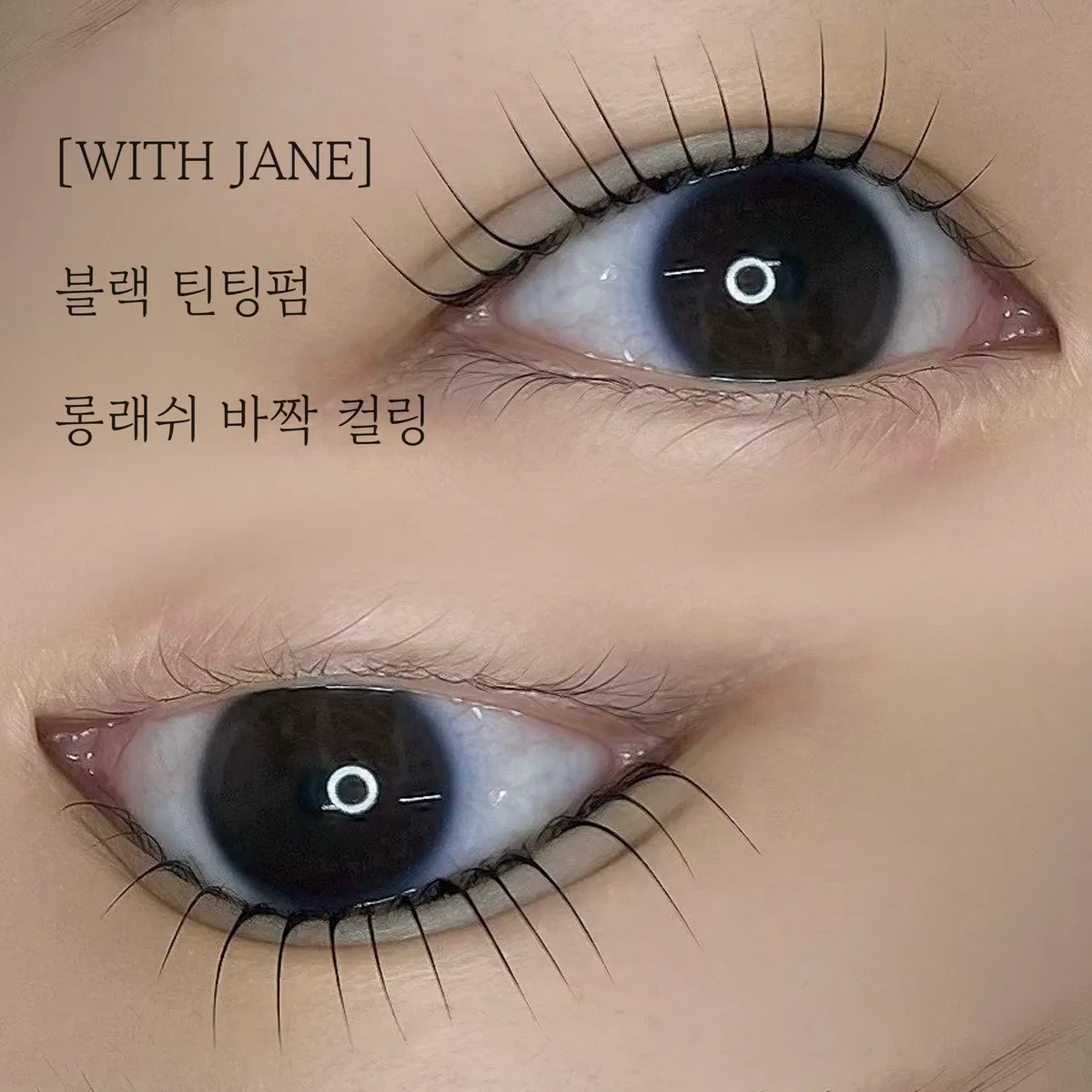 이미지 5