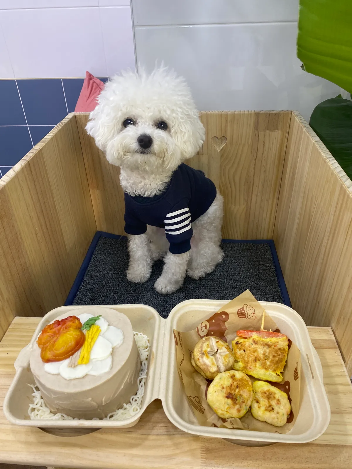 이미지 8
