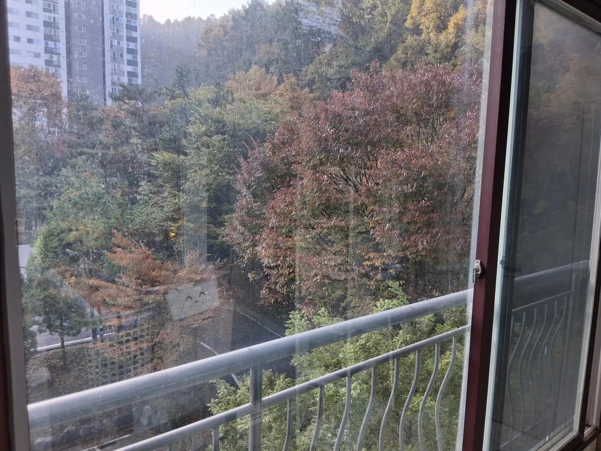 이미지 10