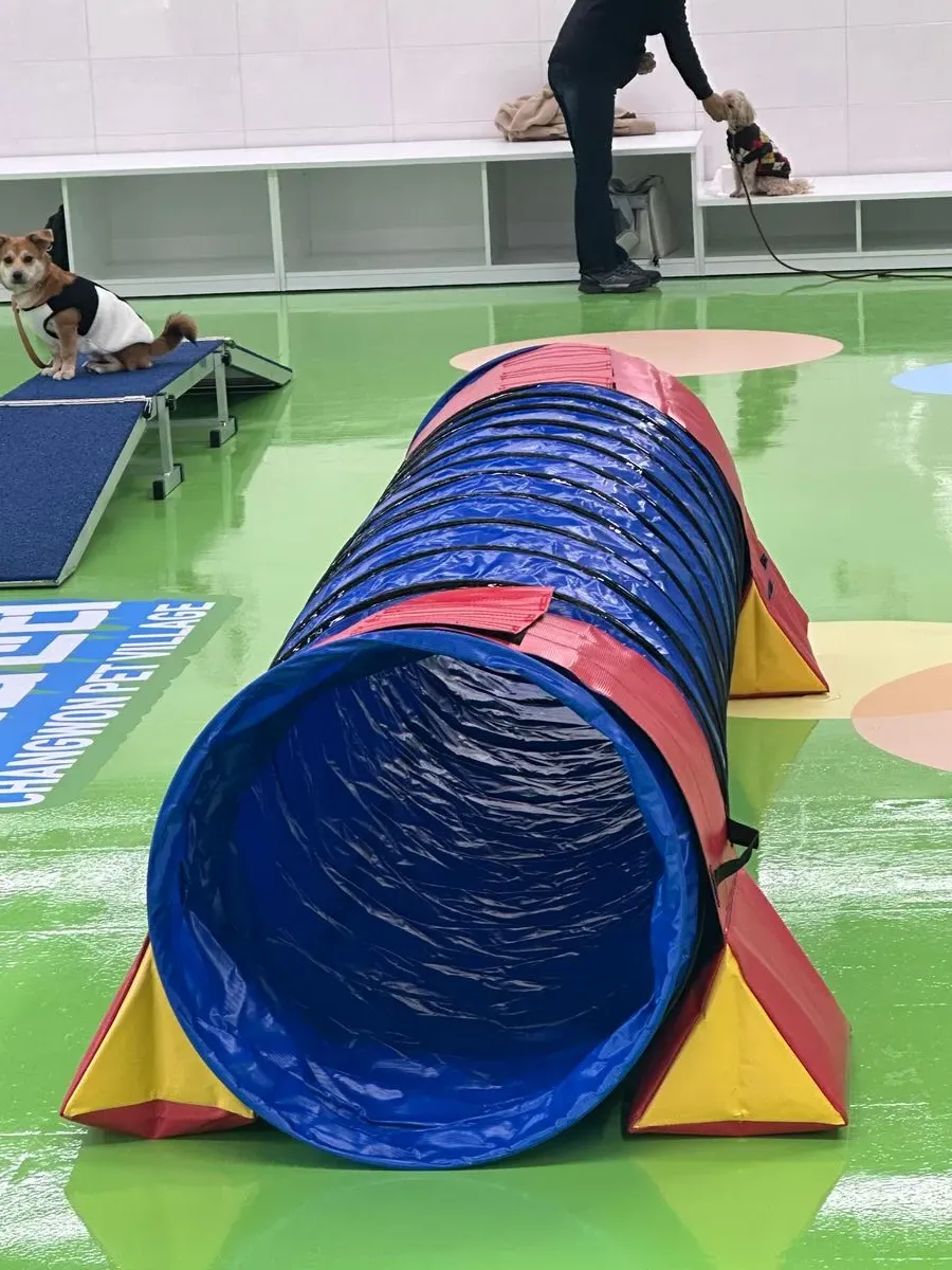 이미지 10