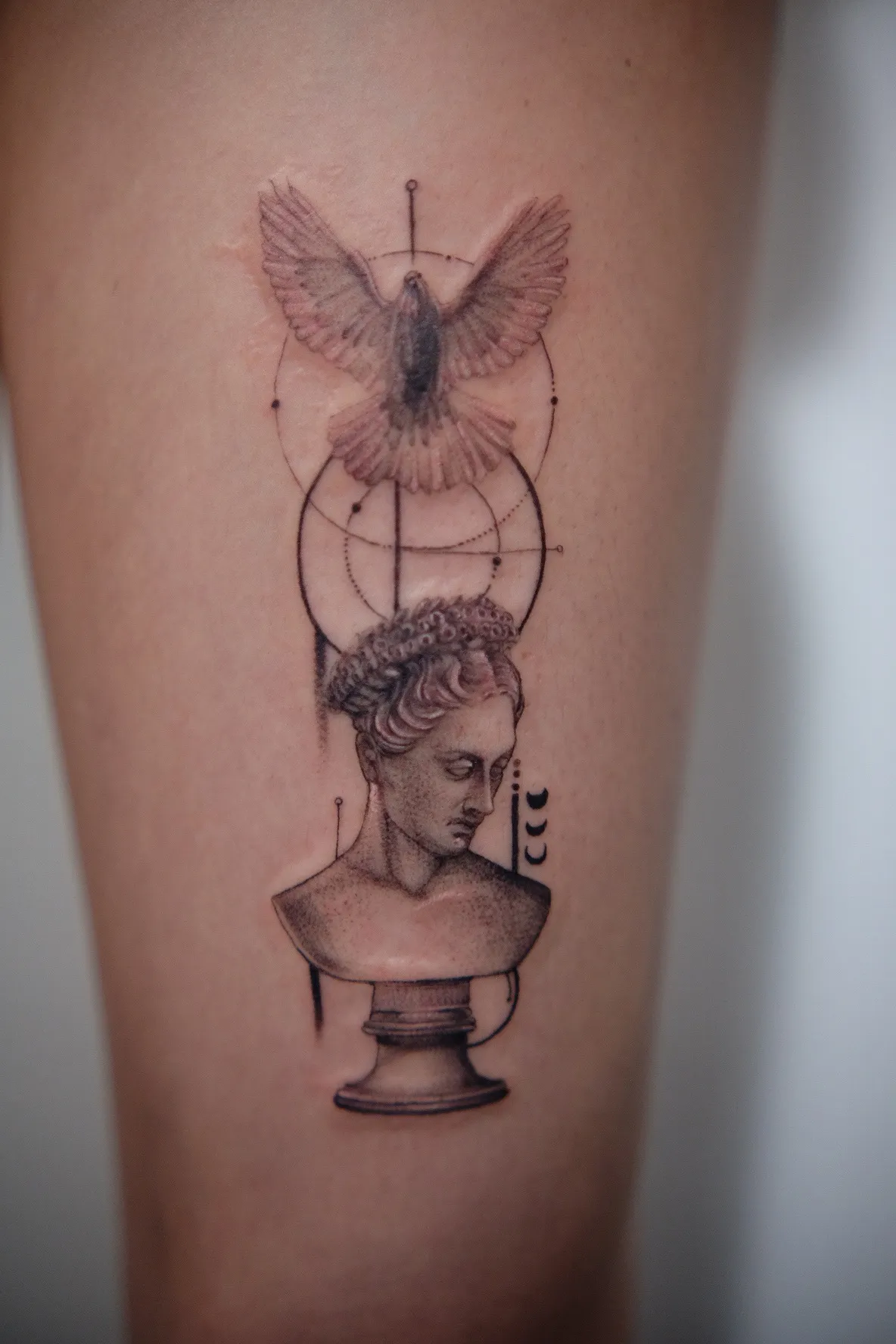 포트폴리오 이미지