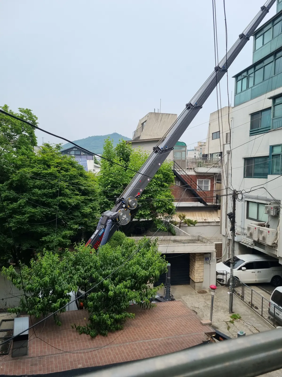 이미지 5