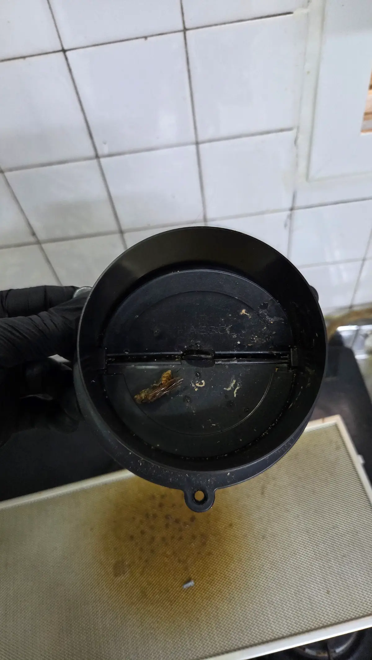 이미지 8