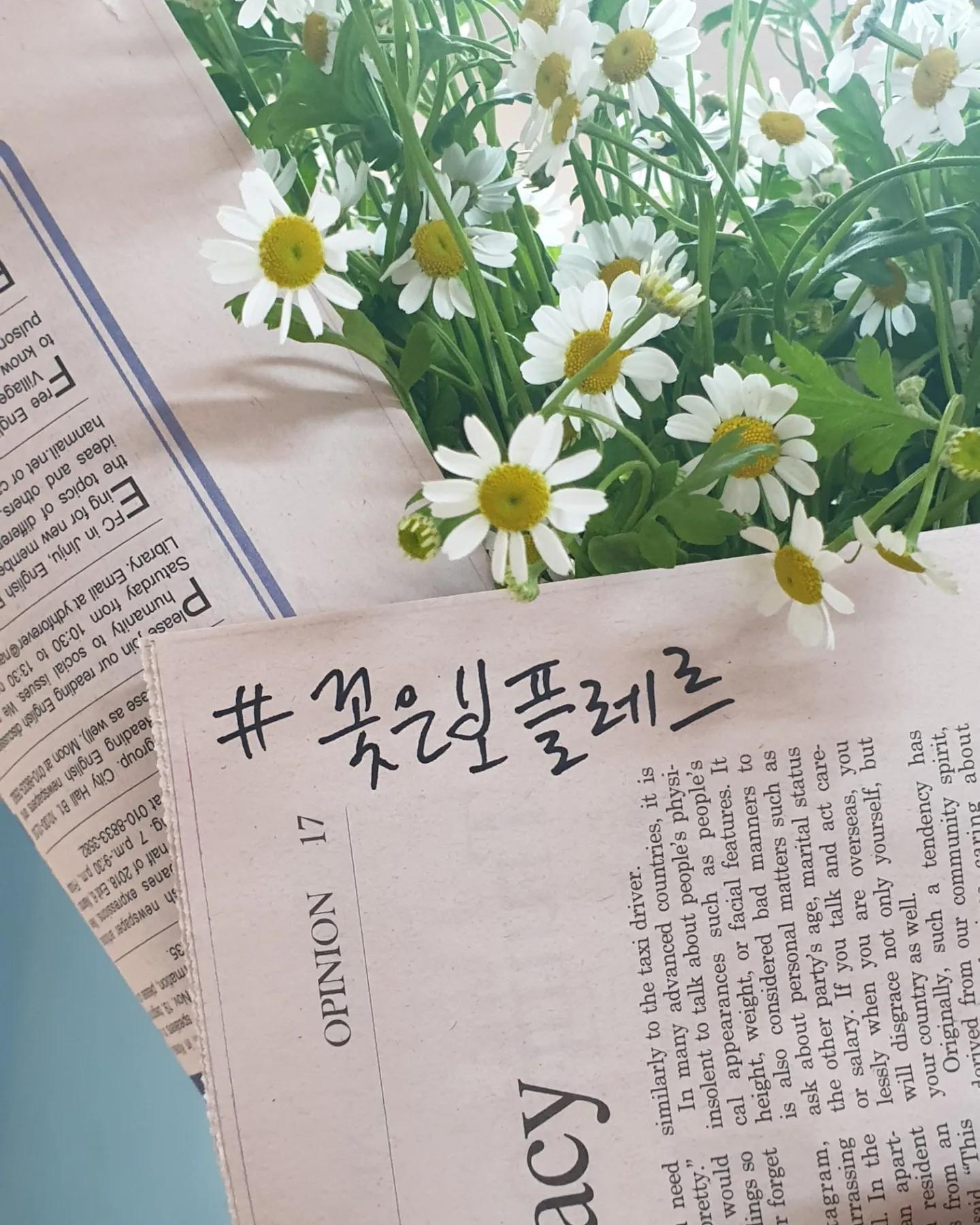 이미지 6