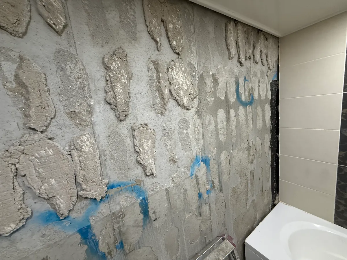 이미지 5
