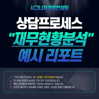 1.재무현황분석