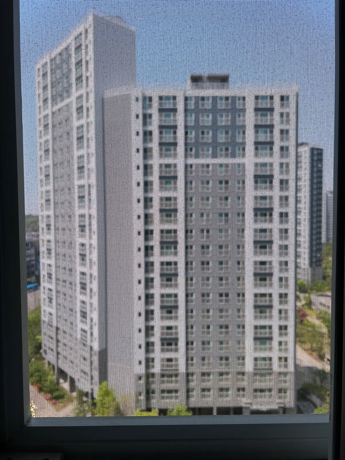 이미지 4