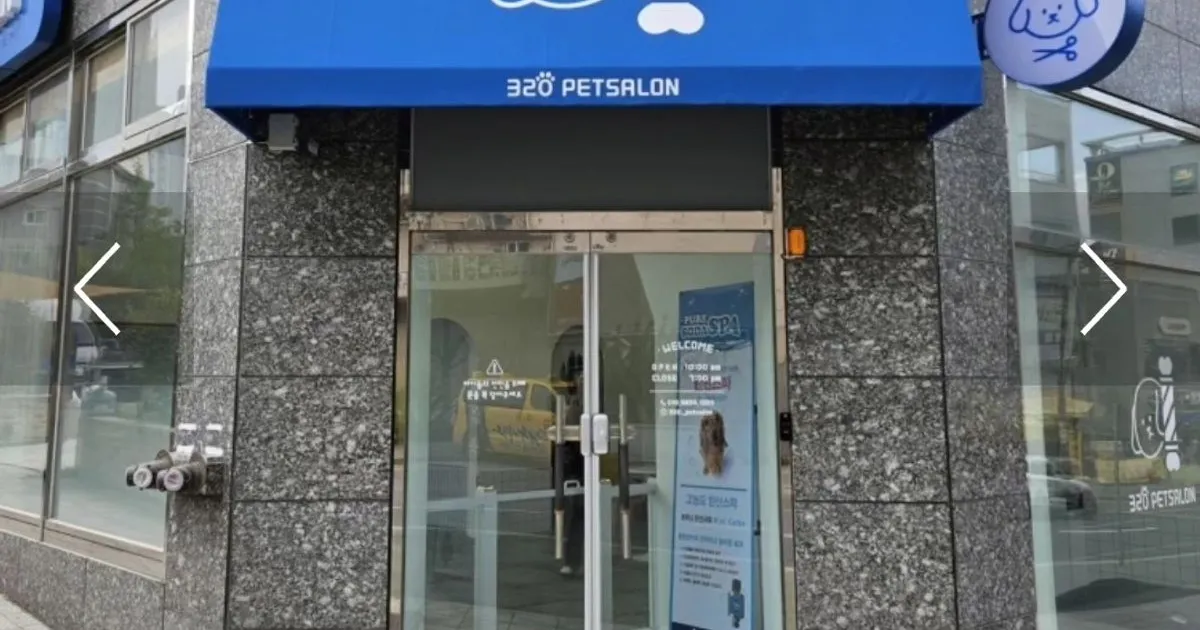 북면 320펫살롱입니다 / 지니 디자인 창원점 조민국입니다 - 숨고, 숨은고수 북면 320펫살롱입니다