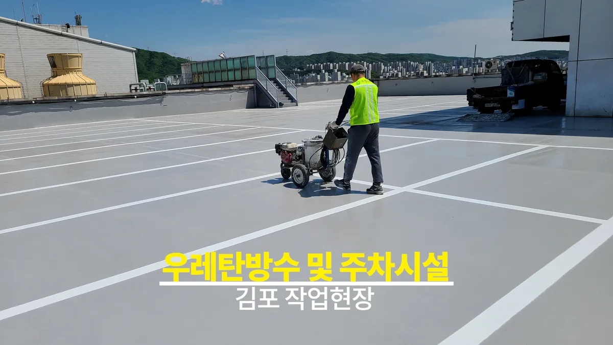 이미지 9