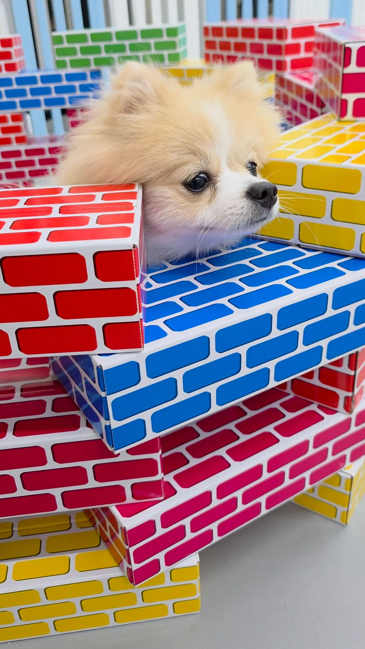 이미지 6