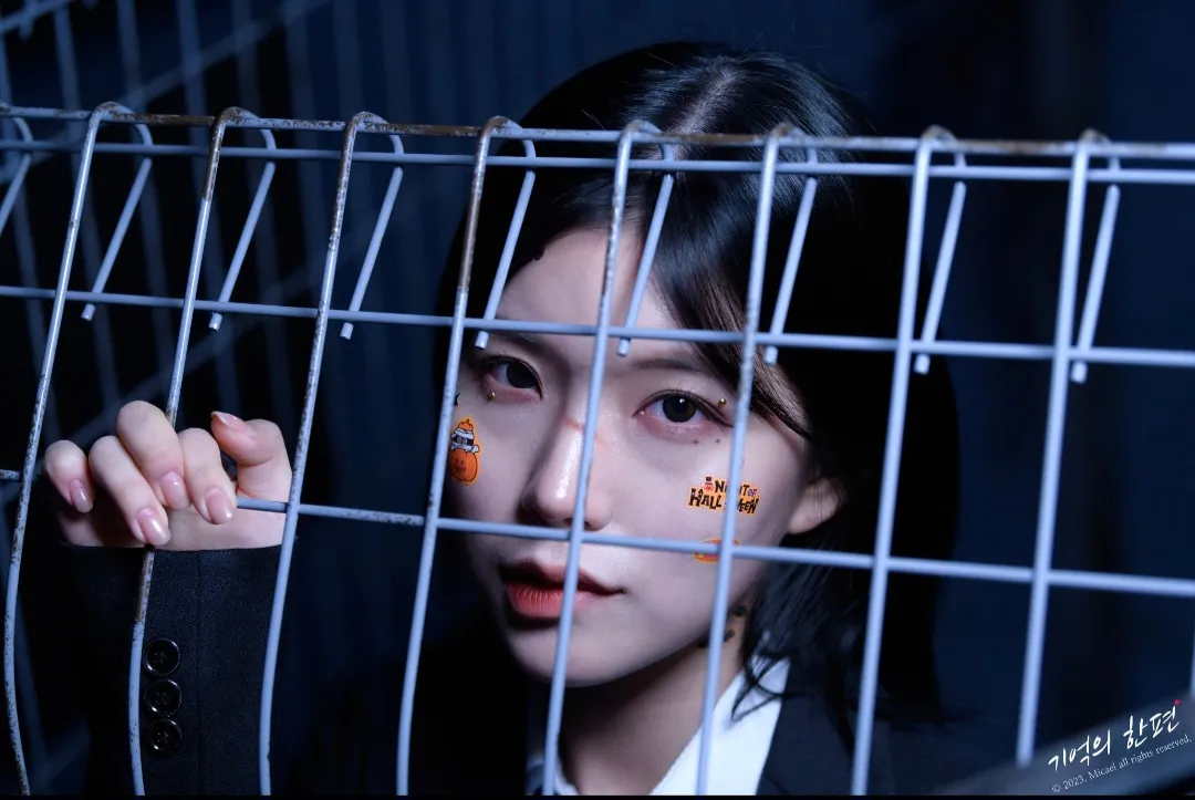 이미지 6