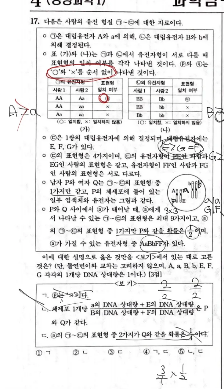 이미지 4