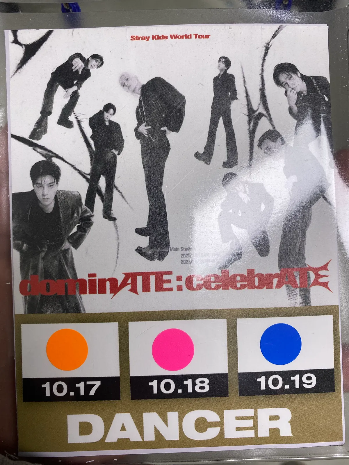 이미지 3