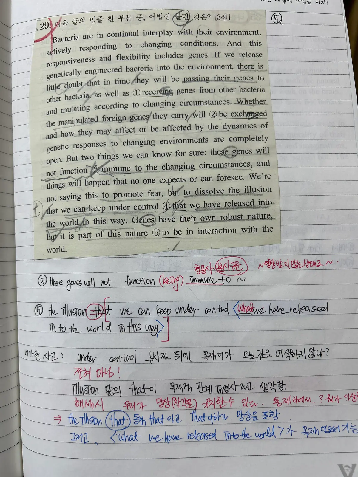 이미지 4