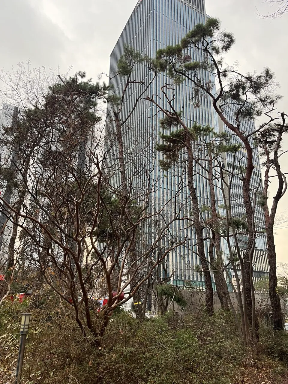 이미지 8