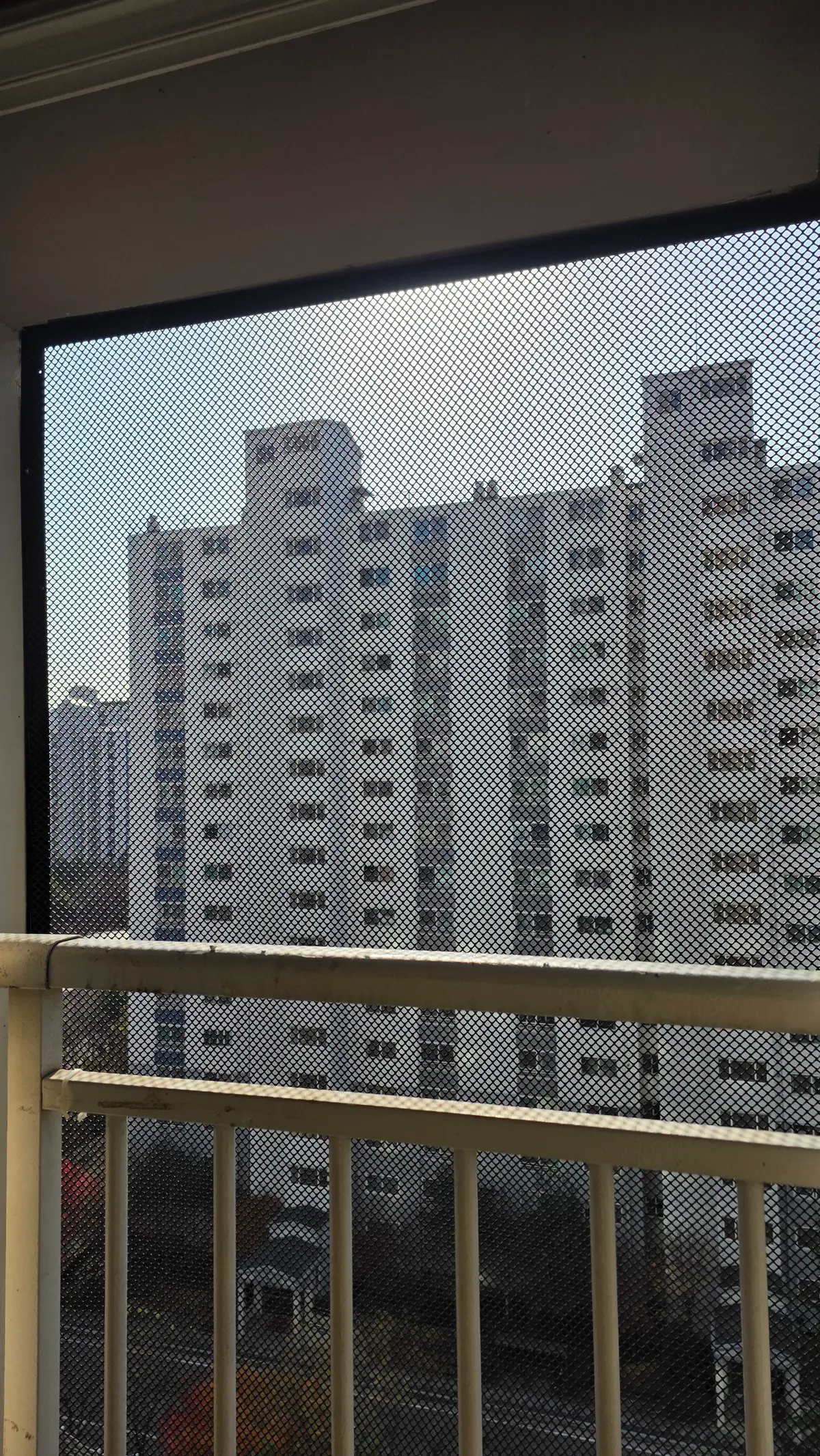 이미지 14