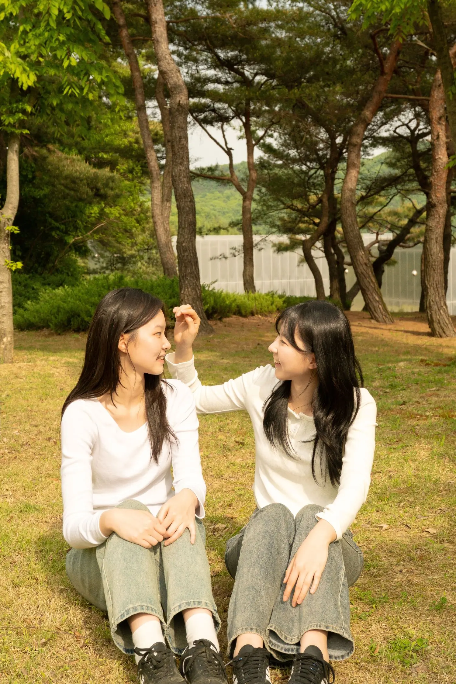 이미지 7