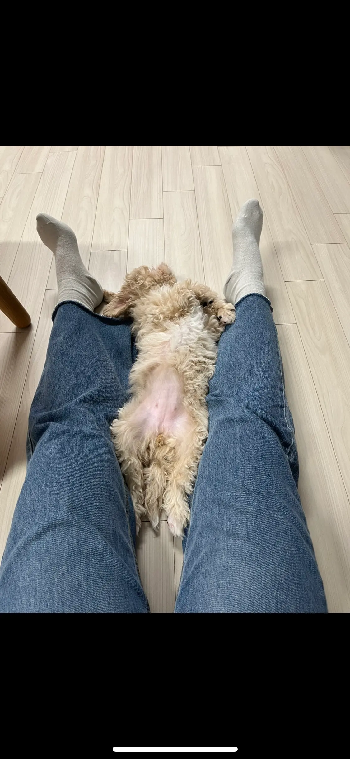 이미지 6