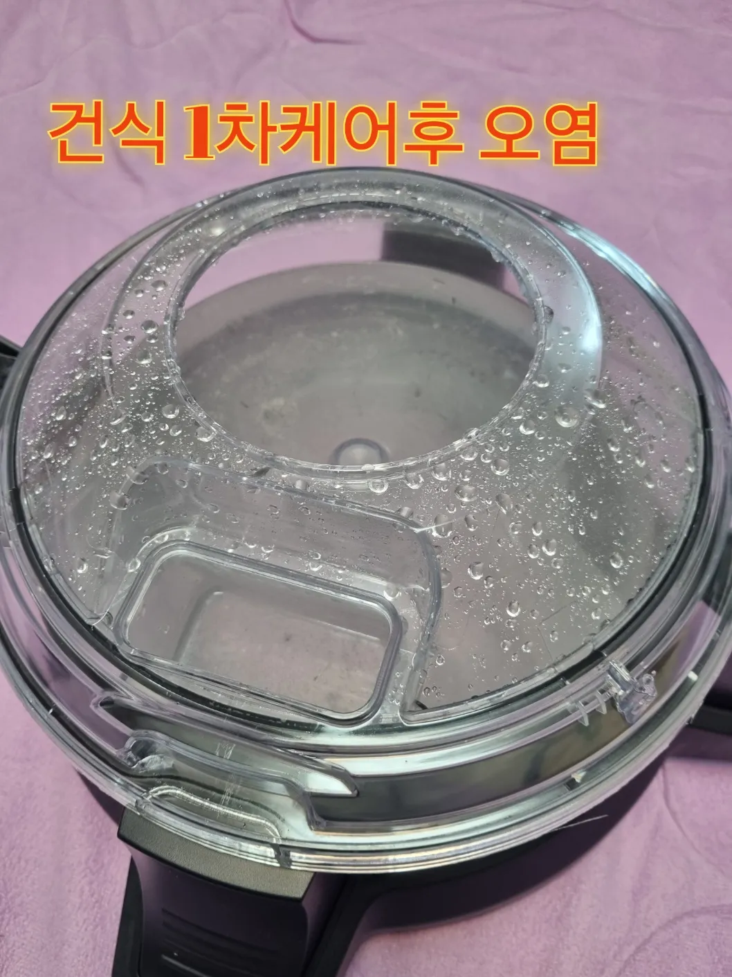 이미지 8