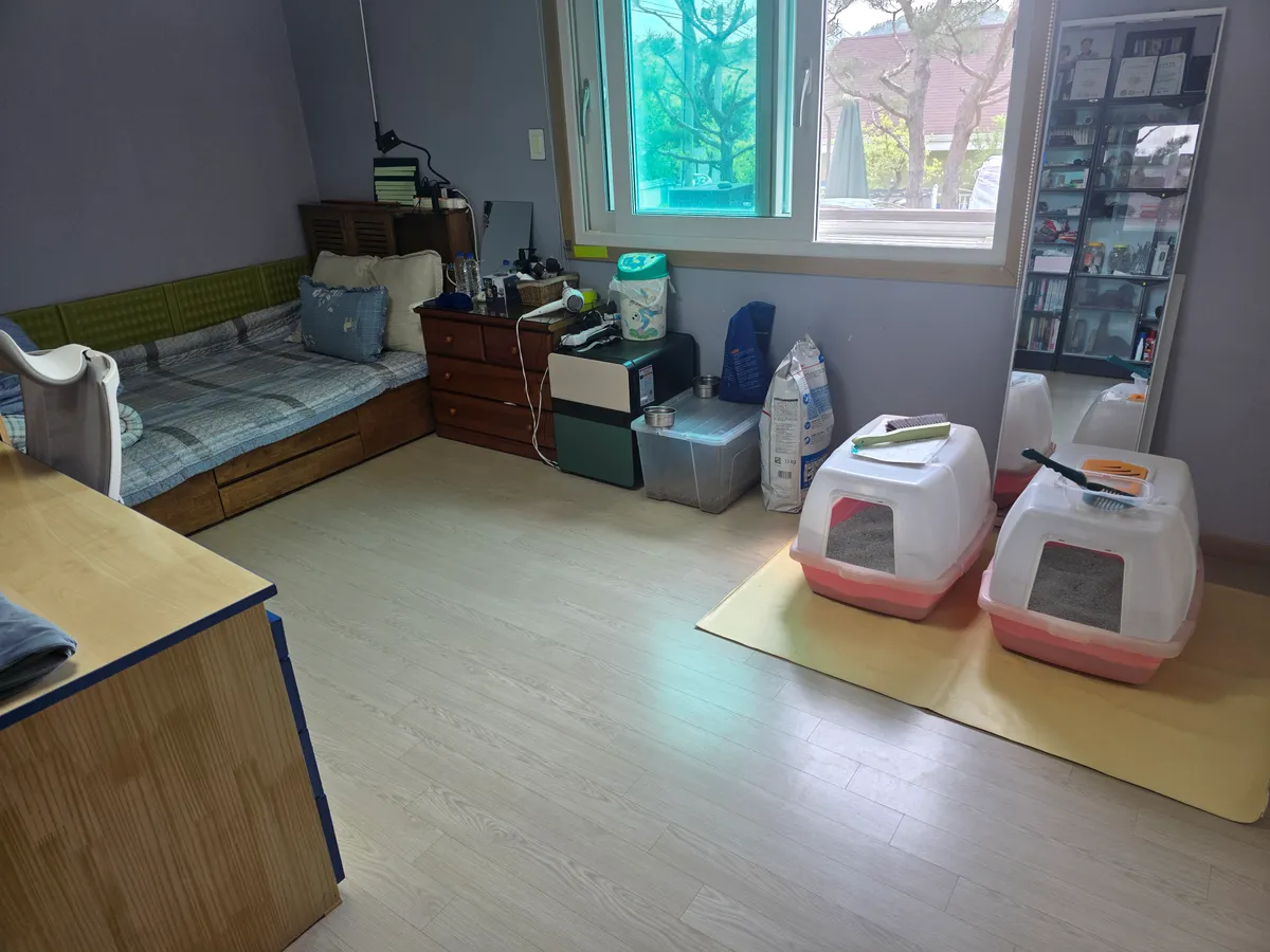 이미지 14