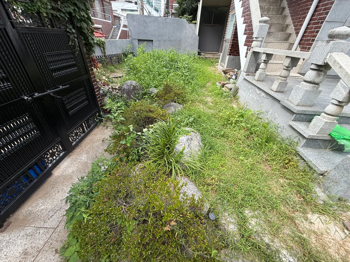 이미지 10