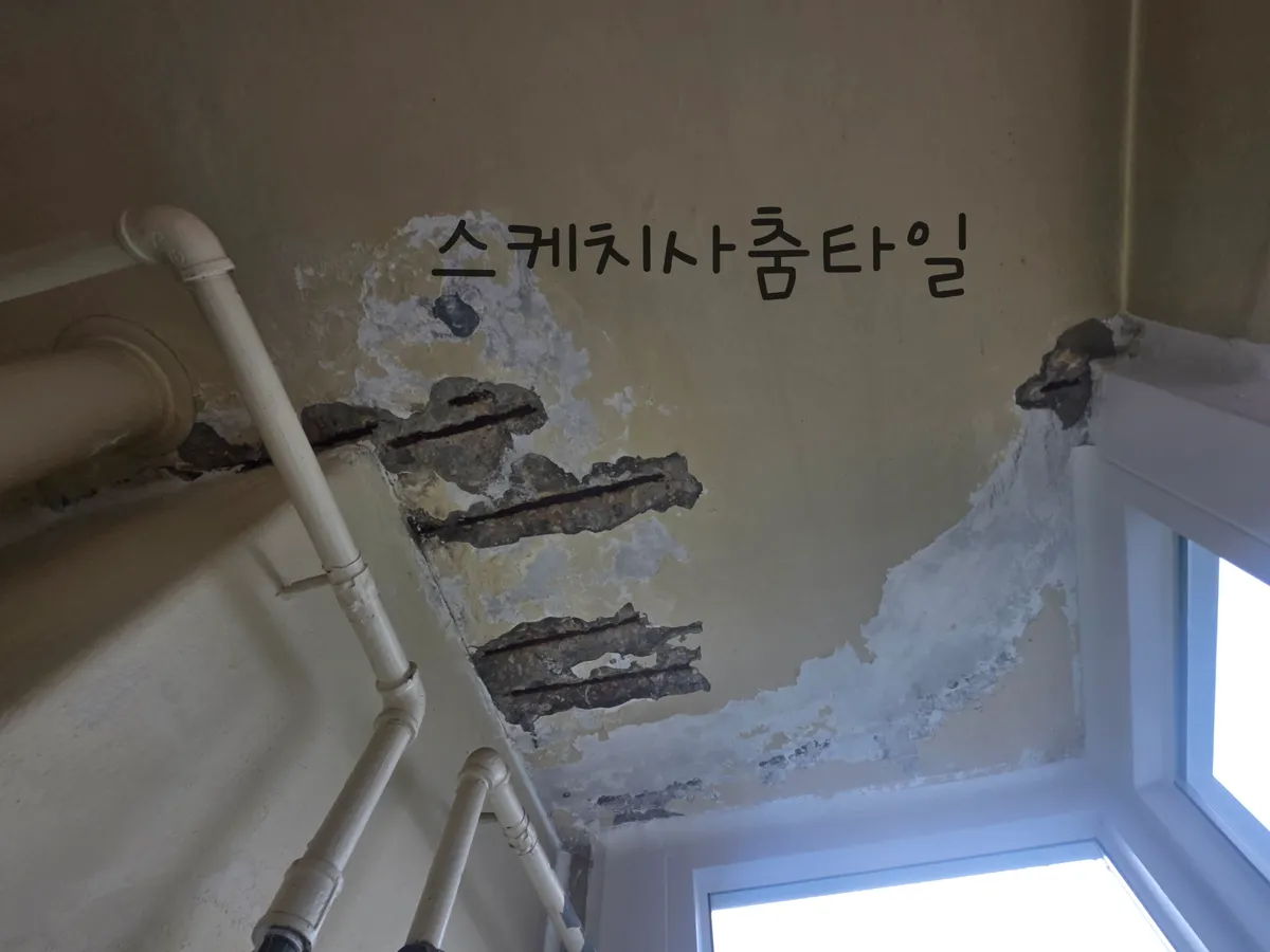 이미지 4