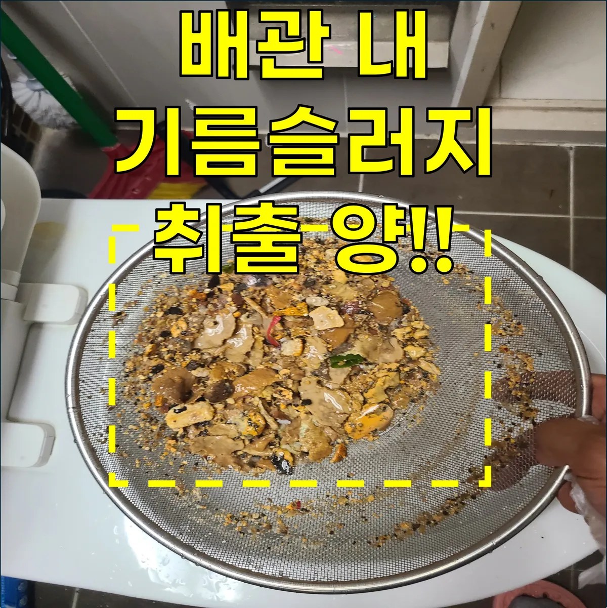 이미지 14