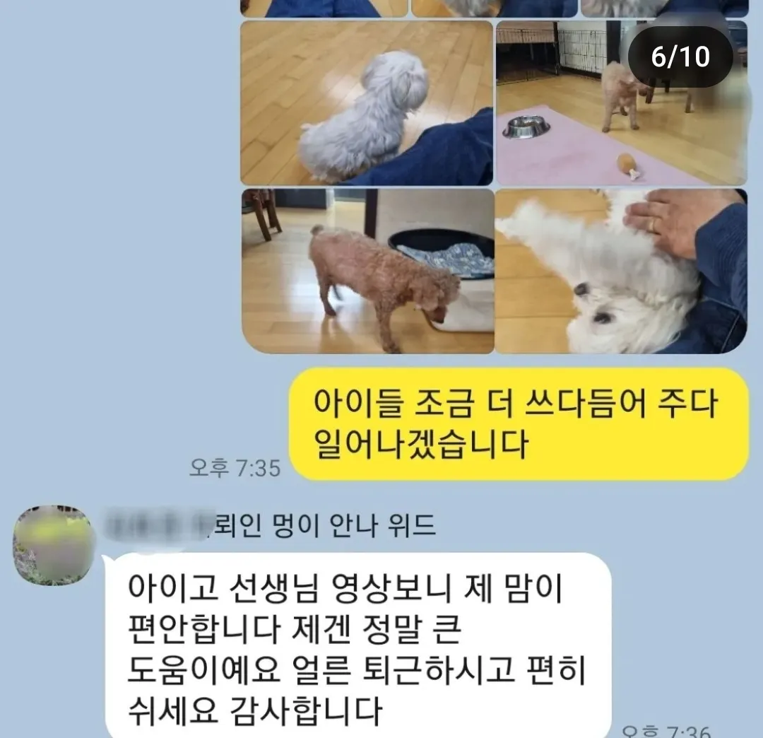 이미지 4