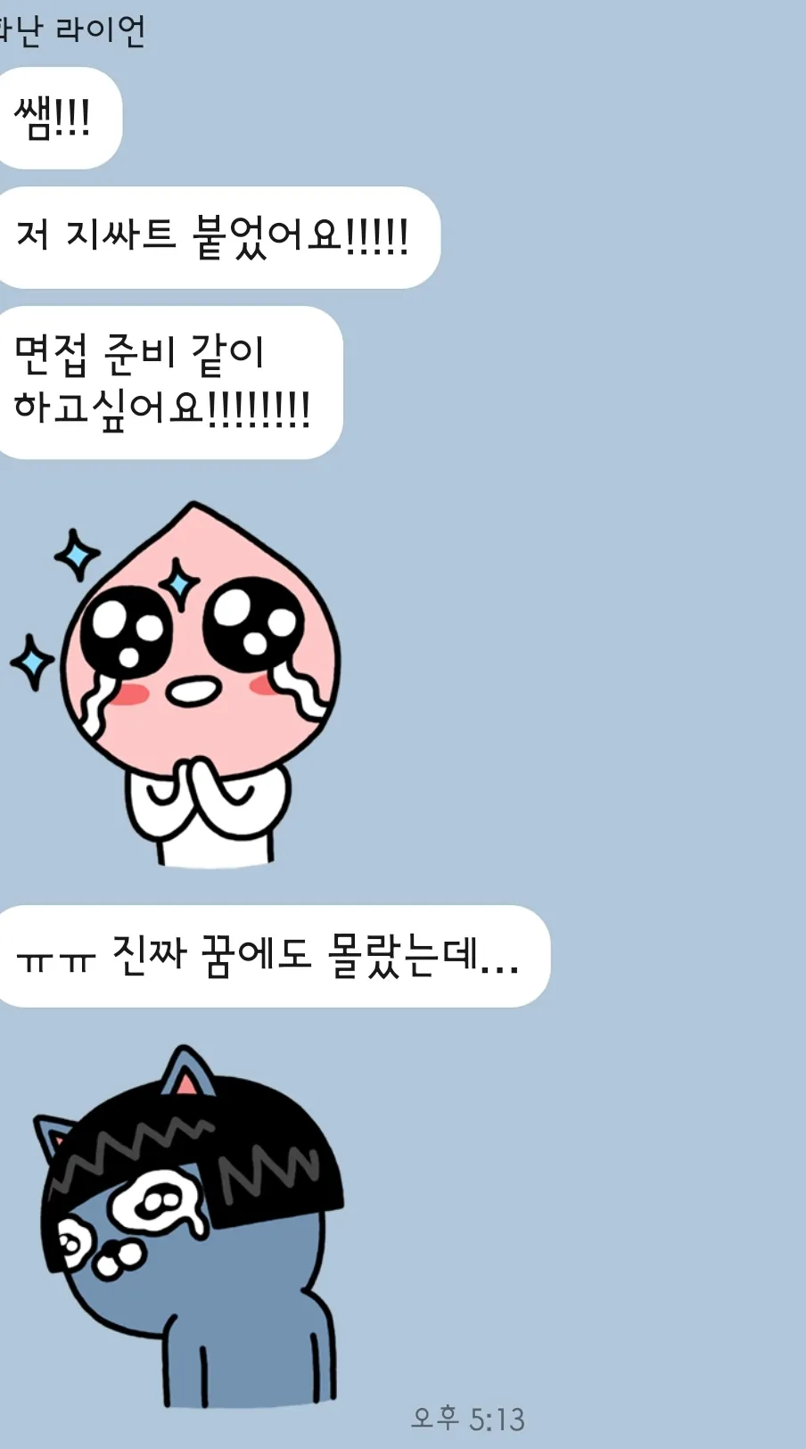 이미지 12