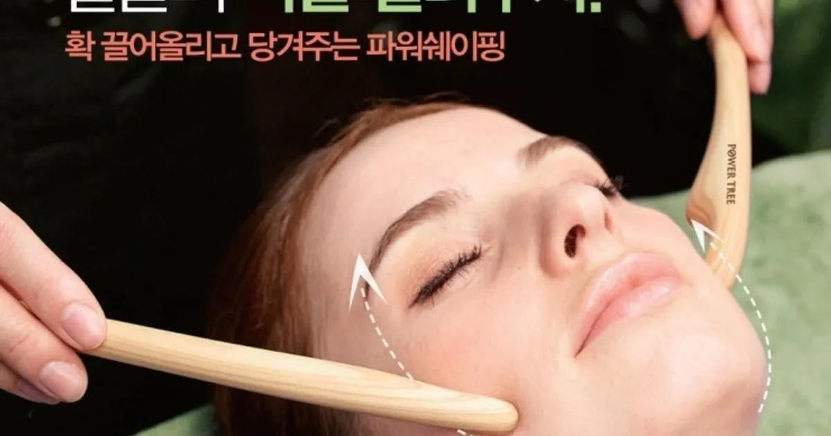 파워트리(경락관리) / 박미정에스테틱 - 숨고, 숨은고수 파워트리(경락관리)