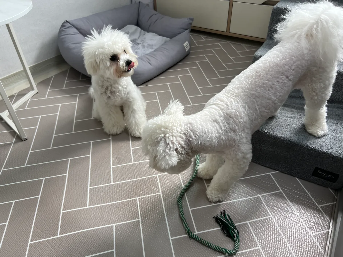 이미지 6