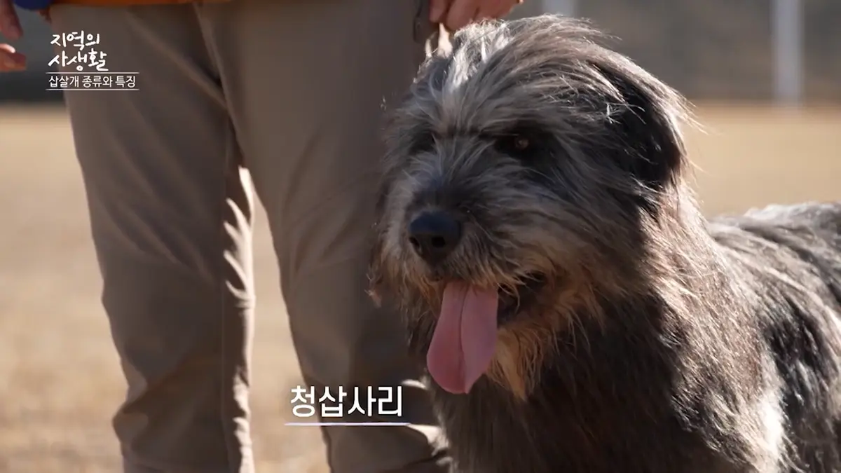 이미지 4