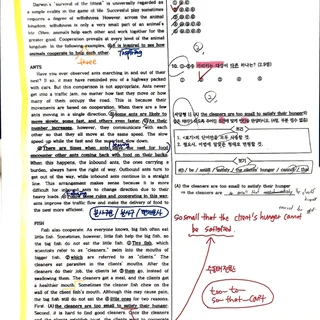 24년 휘문고1 1학기 중간고사 Analysis Report