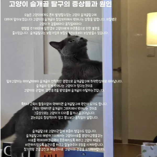 이미지 8