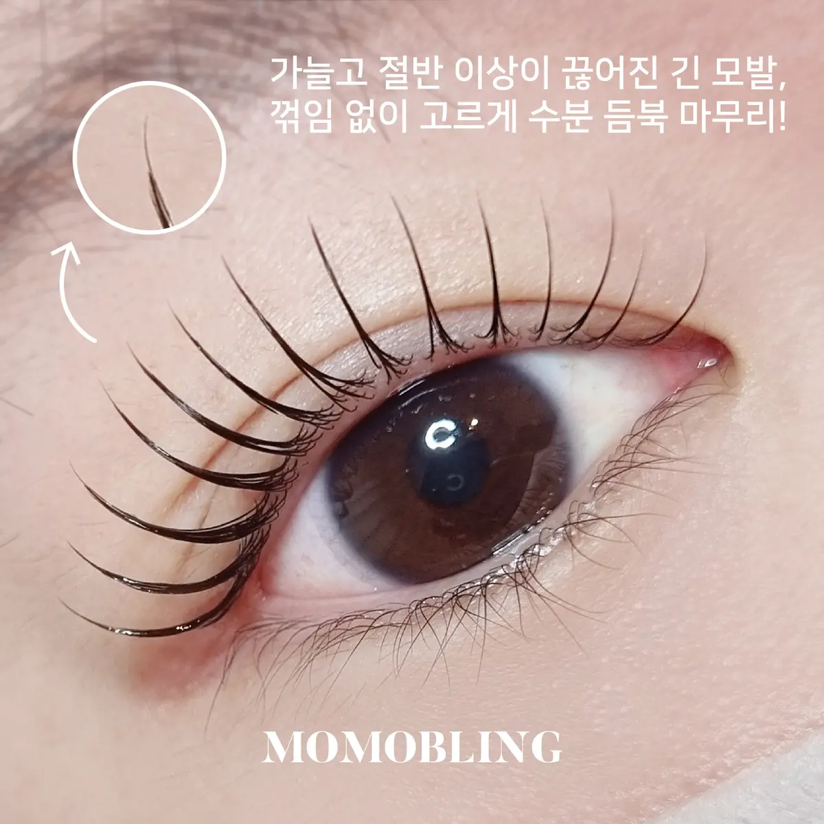 이미지 11