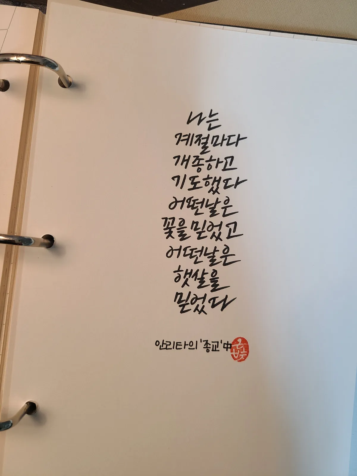 이미지 14